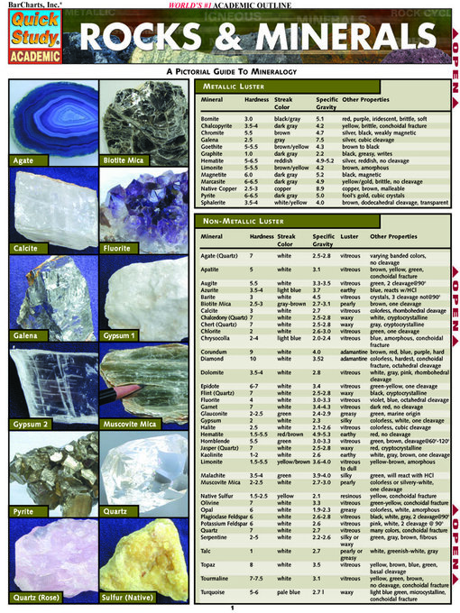 Title details for Rocks & Minerals by Diane Adam - Wait list
